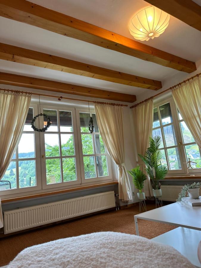 Apartmán Urlaubsschmiede Winterberg Exteriér fotografie